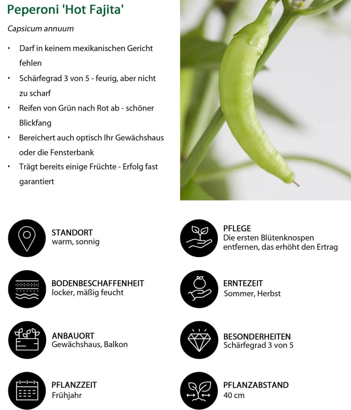 Peperoni 'Hot Fajita'