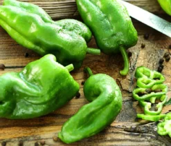 Peperoni 'Pimientos de padron'