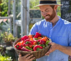 Peperoni 'Piri Piri'