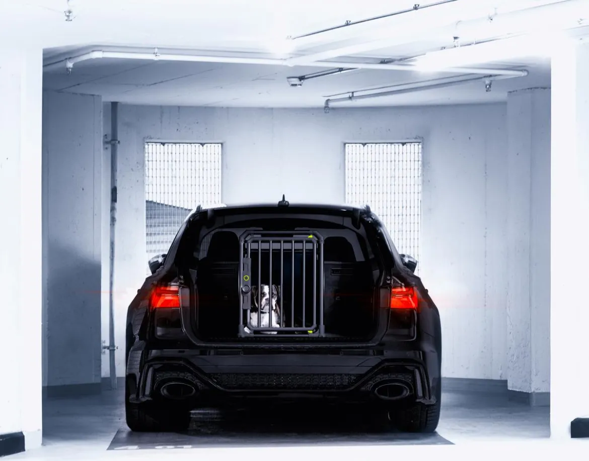 4pets® Hundetransportbox PRO NOIR Line 2