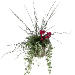 Pflanzen-Trio Herbsthexe, verschiedene Farben