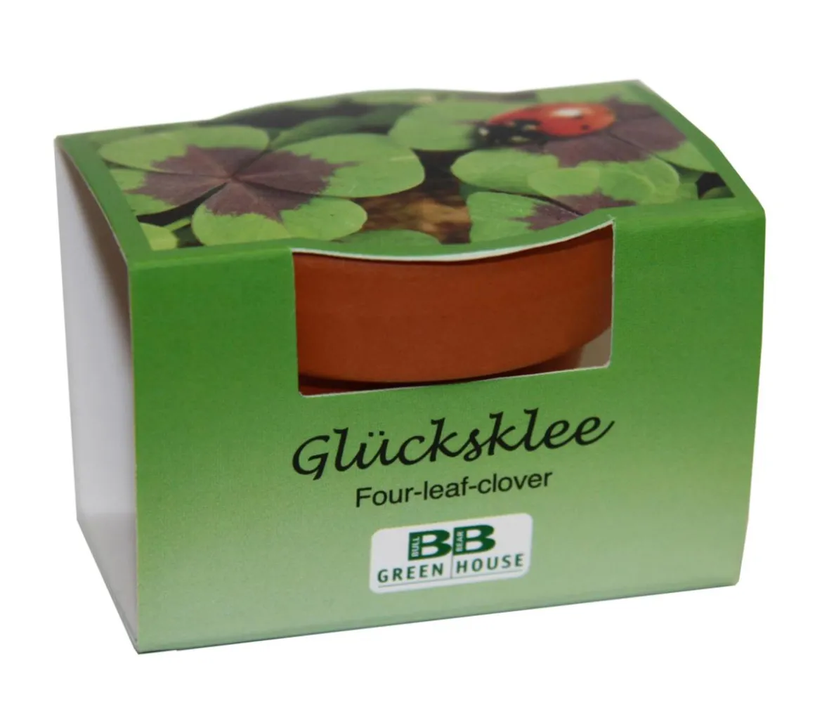 Pflanzset Glücksklee