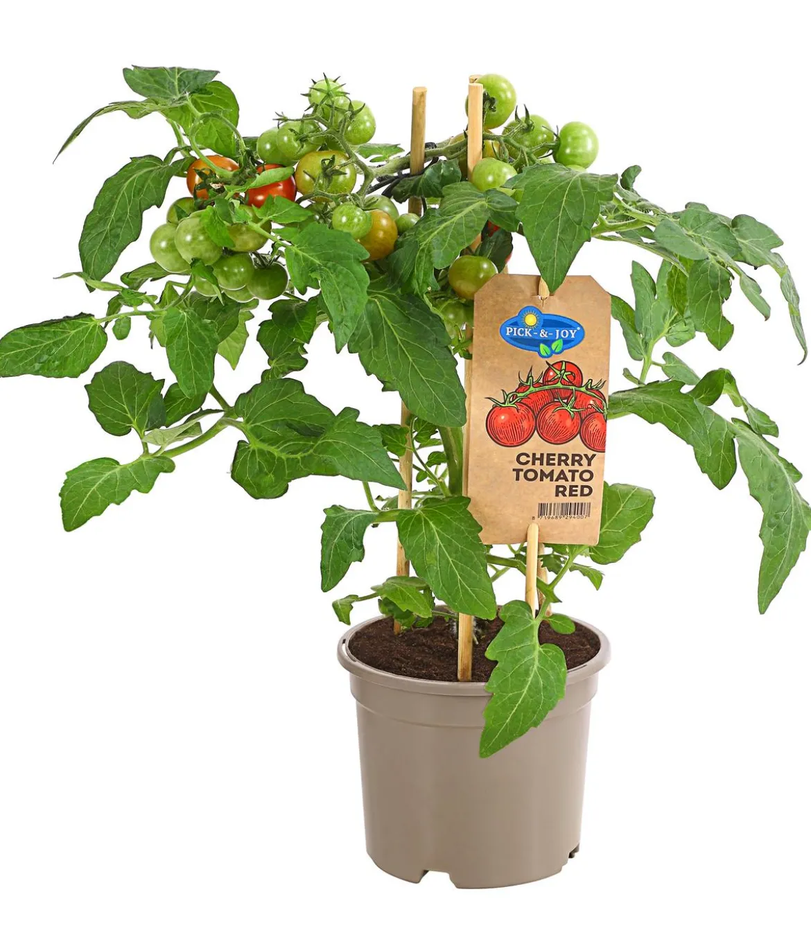 Pick-a-Tom® Cherrytomate