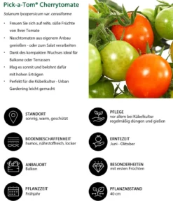 Pick-a-Tom® Cherrytomate
