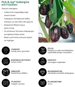 Pick-&-Joy® Aubergine