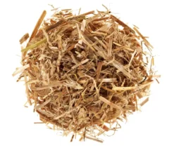 Pilzmännchen Bio Pilzzuchtset Austernpilz