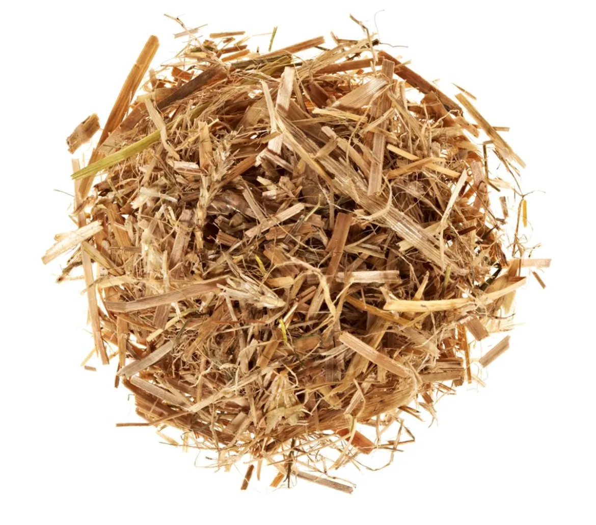 Pilzmännchen Bio Pilzzuchtset Austernpilz