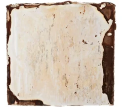 Pilzmännchen Bio Pilzzuchtset Shiitake-Myzelpatch