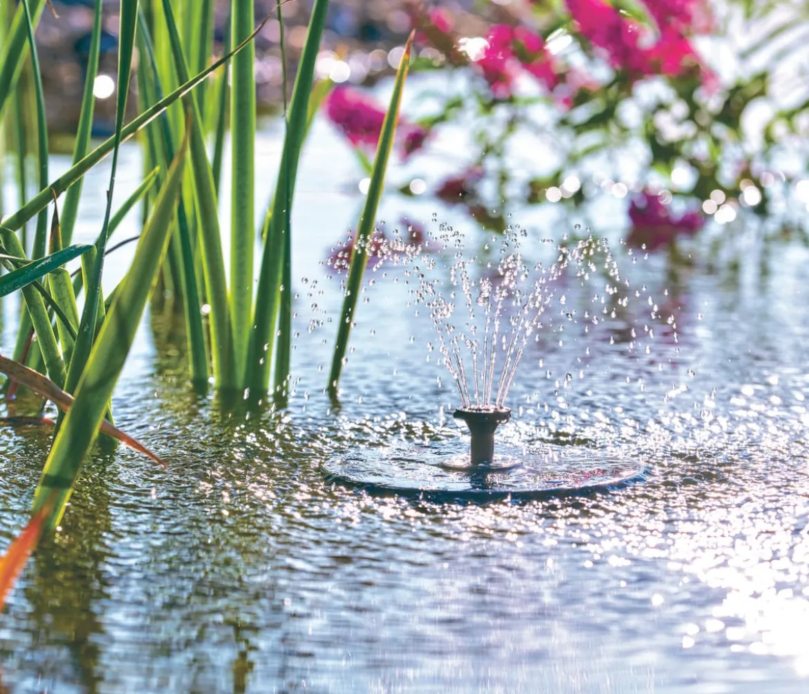 Pontec Wasserspielpumpe PondoSolar LED Island