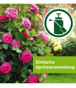 PROTECT GARDEN Curamat AZ Rosen-Pilzfrei, flüssig, 2 x 4 ml