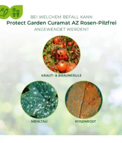 PROTECT GARDEN Curamat AZ Rosen-Pilzfrei, flüssig, 2 x 4 ml
