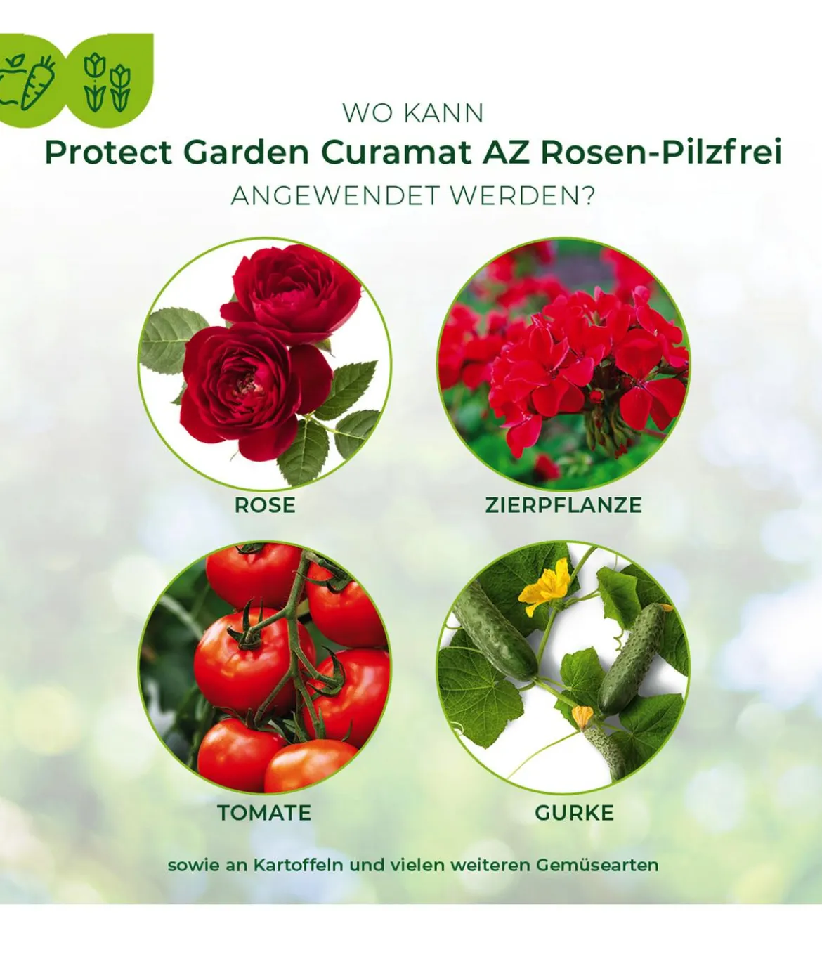 PROTECT GARDEN Curamat AZ Rosen-Pilzfrei, flüssig, 15 ml