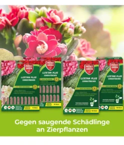 PROTECT GARDEN Lizetan Plus Combistäbchen