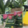 PROTECT GARDEN Lizetan Plus Schädlingsfrei