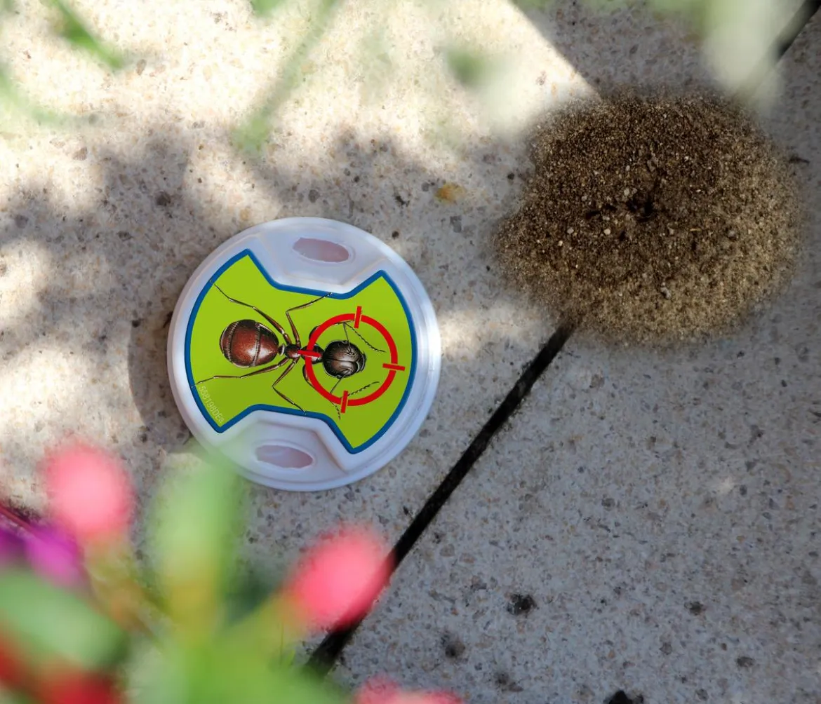 PROTECT HOME FormineX Ameisen-Köder Multi, 3 Stk.