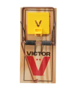 PROTECT HOME Rattenfalle Classic, 1 Stk.