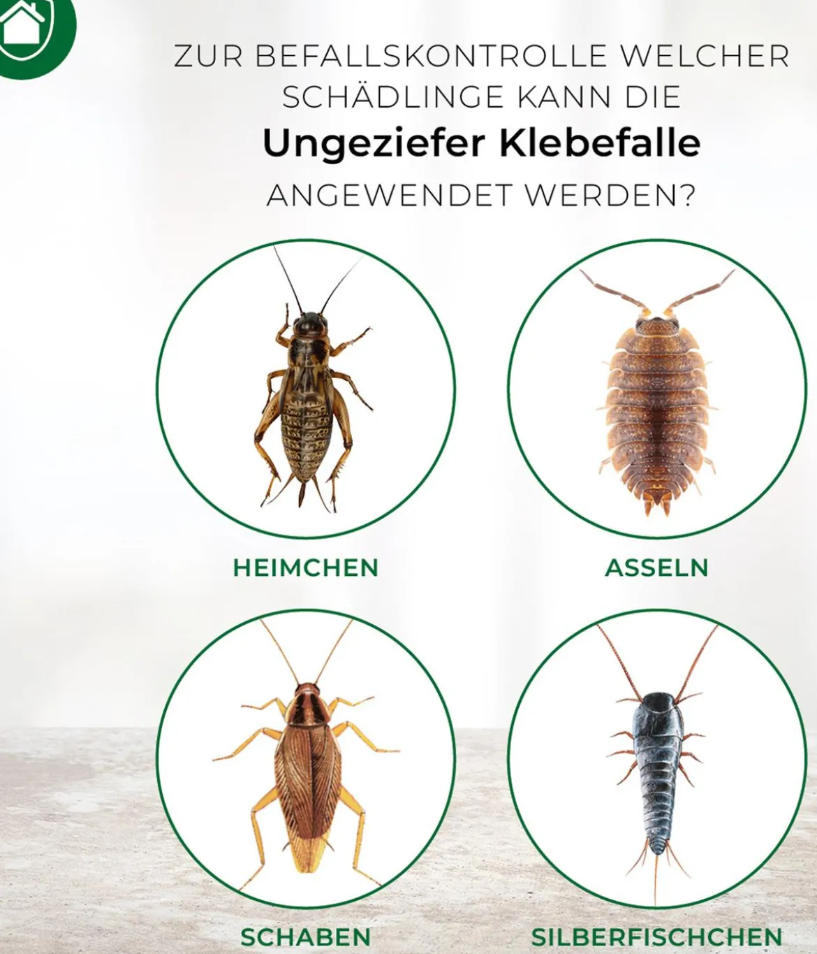 PROTECT HOME Ungeziefer Klebefalle zur Befallsermittlung, 4 Stk.