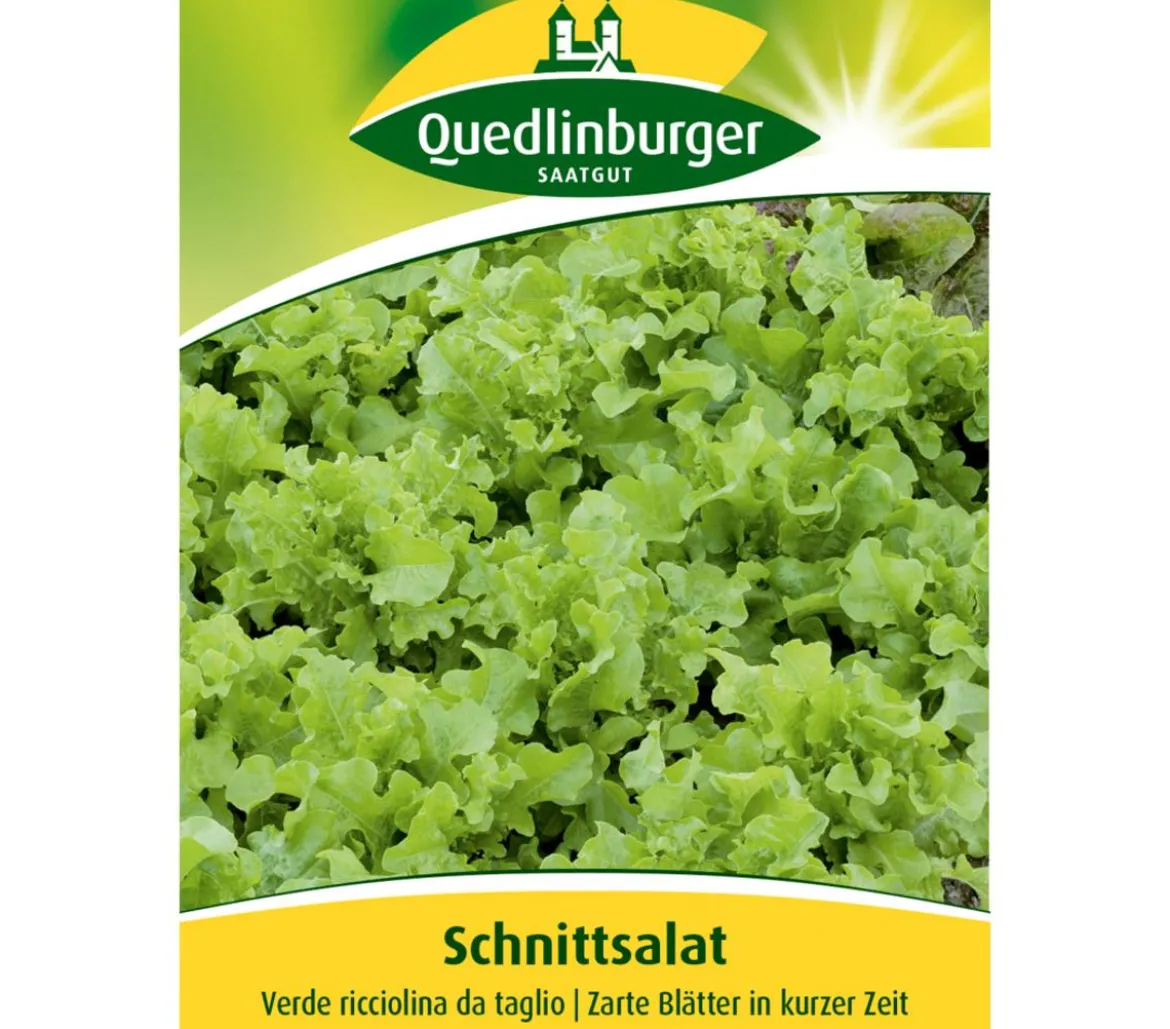 Quedlinberger Samen Schnittsalat 'Verde ricciolina da taglio'