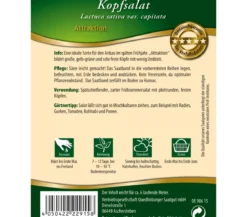 Quedlinburger Saatband Kopfsalat 'Attraktion'