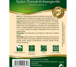 Quedlinburger Salat-/Gewächshausgurke 'Saladin'
