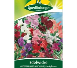 Quedlinburger Samen Edelwicke 'Grossblumige Mischung'