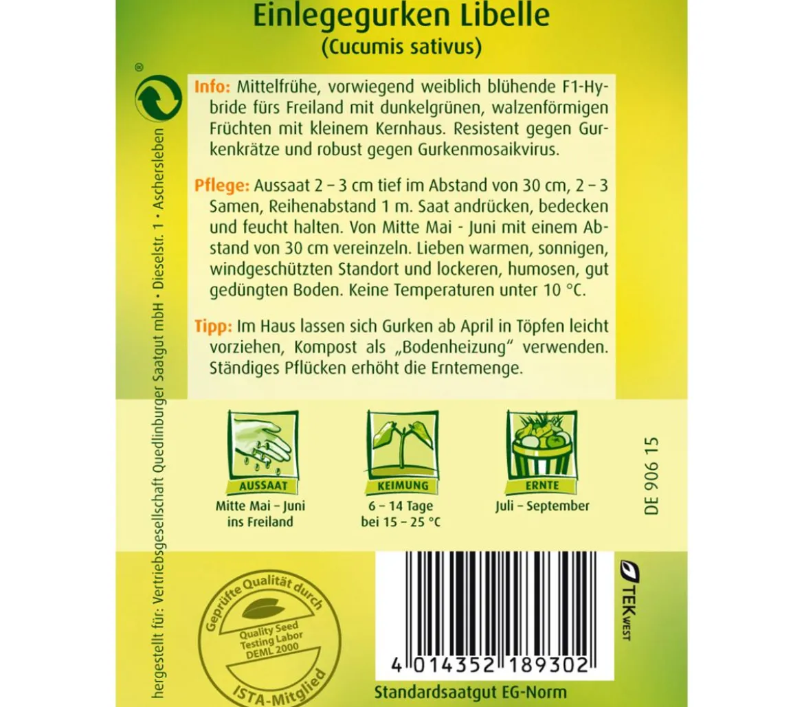 Quedlinburger Samen Einlegegurke 'Libelle'