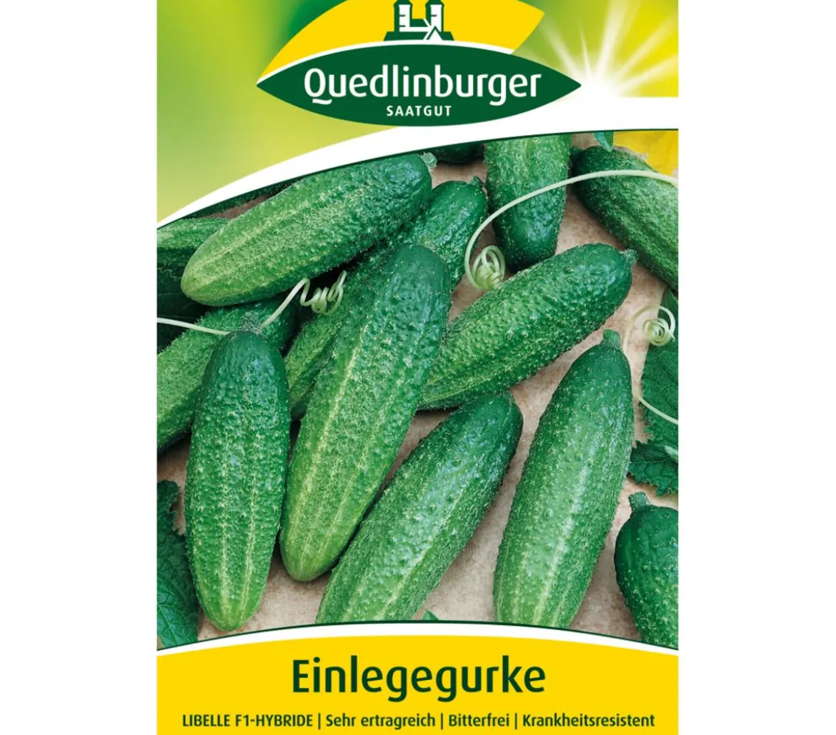 Quedlinburger Samen Einlegegurke 'Libelle'