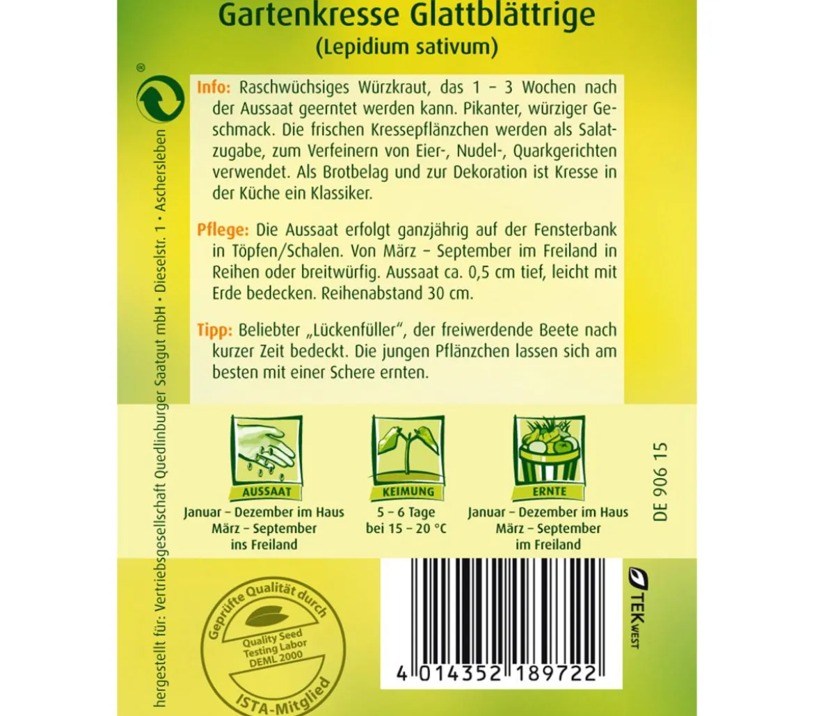 Quedlinburger Samen Gartenkresse 'Glattblättrige'