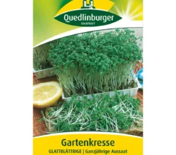 Quedlinburger Samen Gartenkresse 'Glattblättrige'