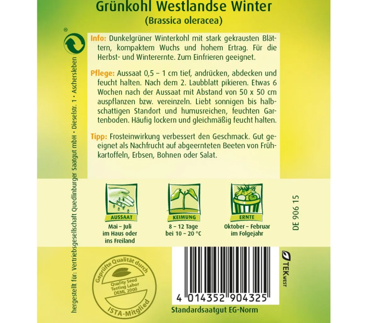 Quedlinburger Samen Grünkohl 'Westlandse Winter'