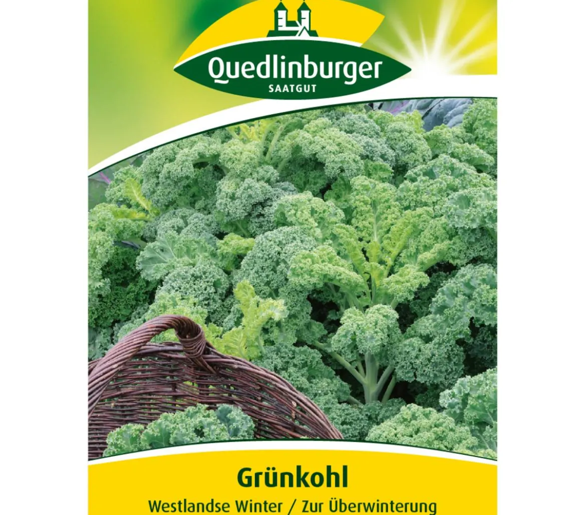 Quedlinburger Samen Grünkohl 'Westlandse Winter'
