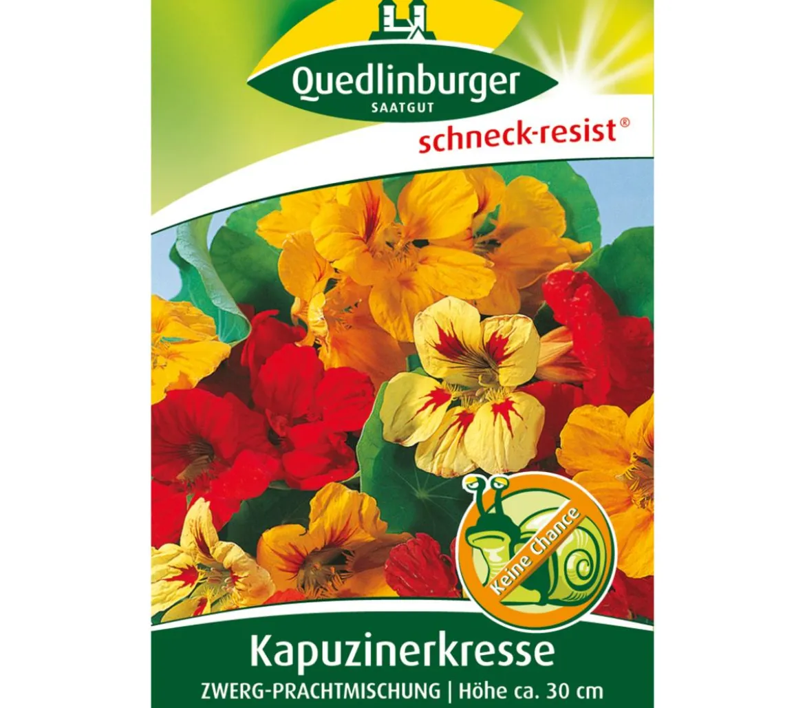 Quedlinburger Samen Kapuzinerkresse 'Zwerg-Prachtmischung'