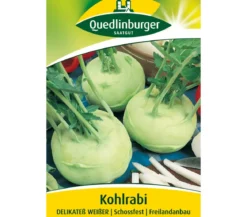 Quedlinburger Samen Kohlrabi 'Delikateß Weißer'