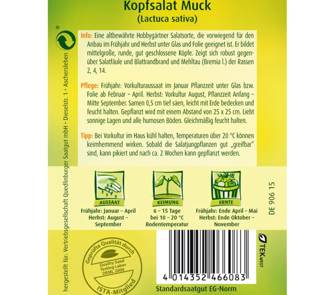 Quedlinburger Samen Kopfsalat 'Muck'