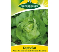 Quedlinburger Samen Kopfsalat 'Muck'