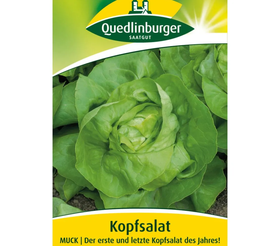 Quedlinburger Samen Kopfsalat 'Muck'