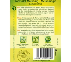 Quedlinburger Samen Kopfsalat 'Maikönig'