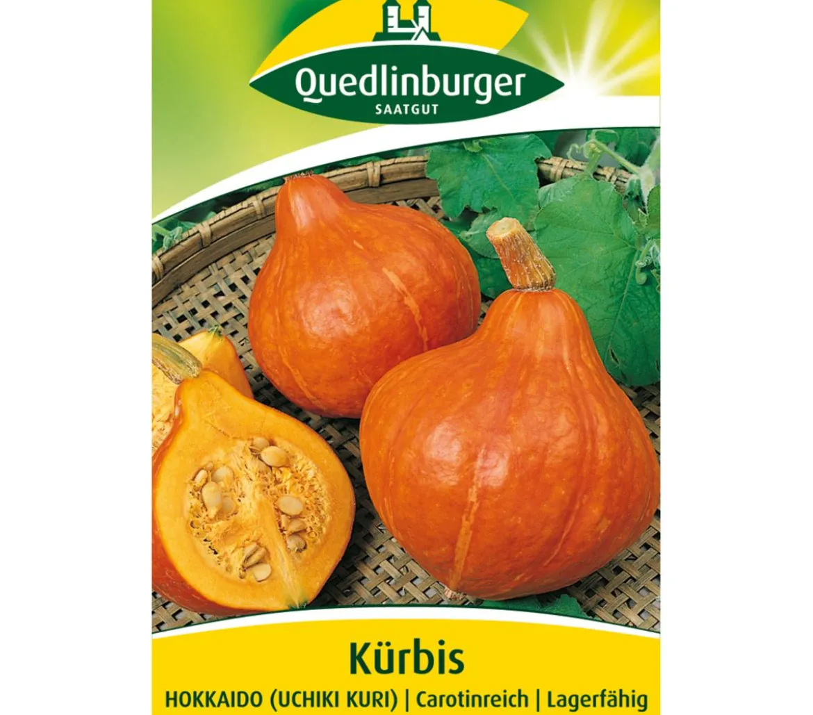Quedlinburger Samen Kürbis 'Hokkaido'