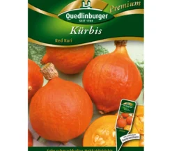 Quedlinburger Samen Kürbis 'Red Kuri'