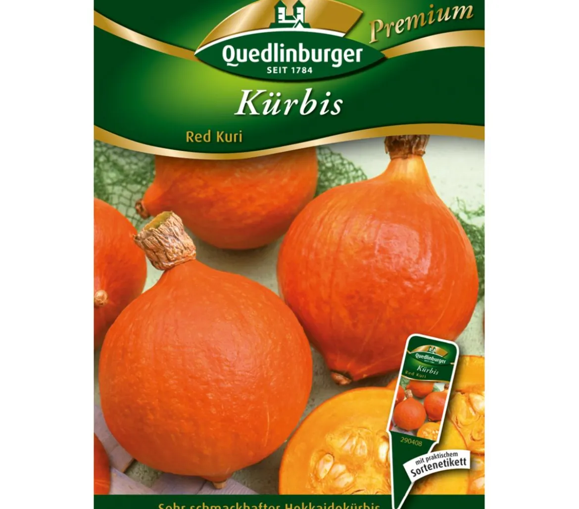 Quedlinburger Samen Kürbis 'Red Kuri'