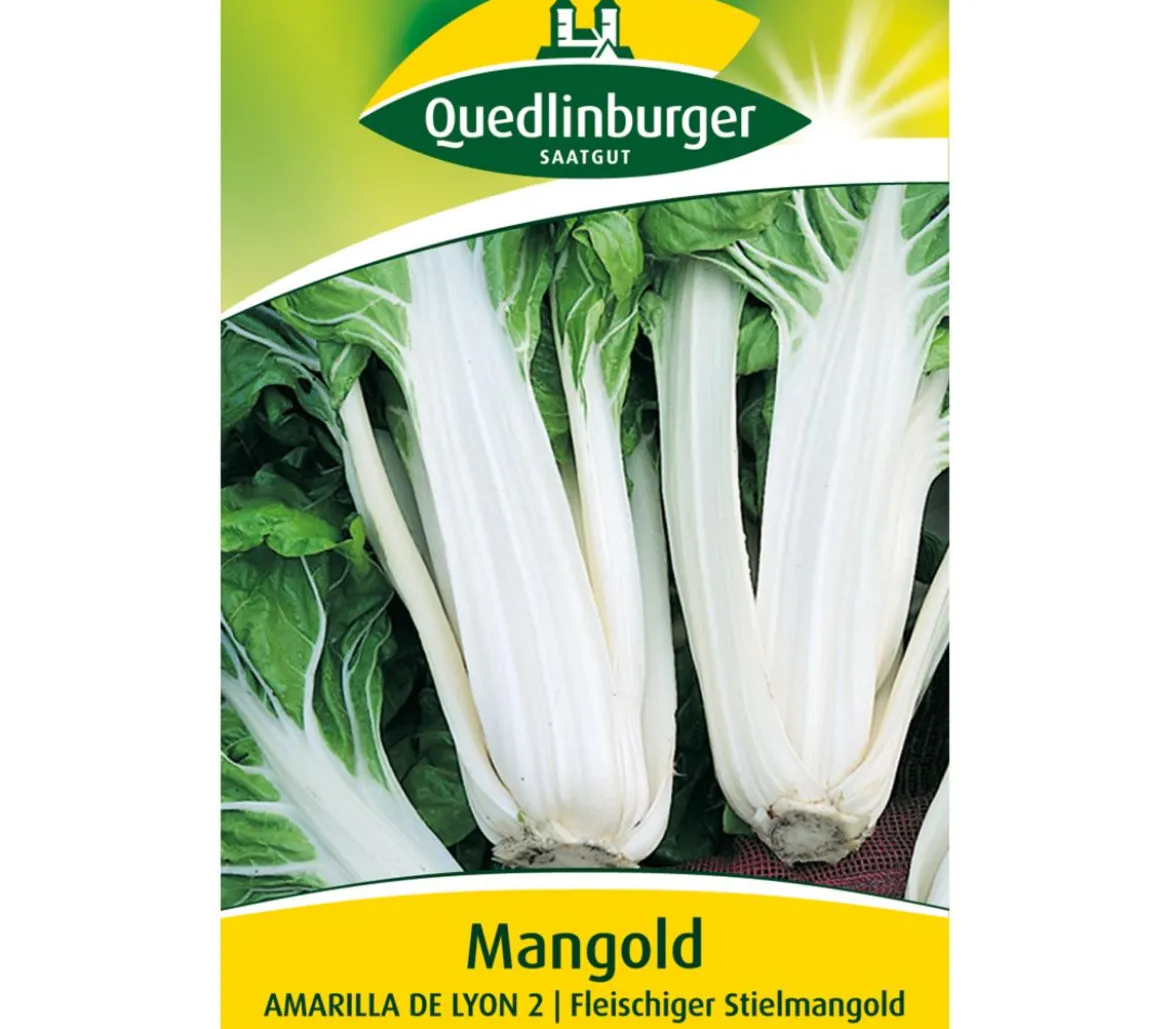 Quedlinburger Samen Mangold 'Amarilla De Lyon 2'