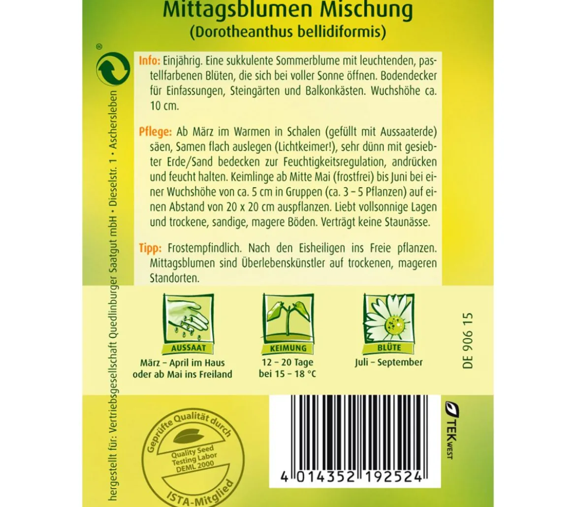 Quedlinburger Samen Mittagsblume 'Mischung'