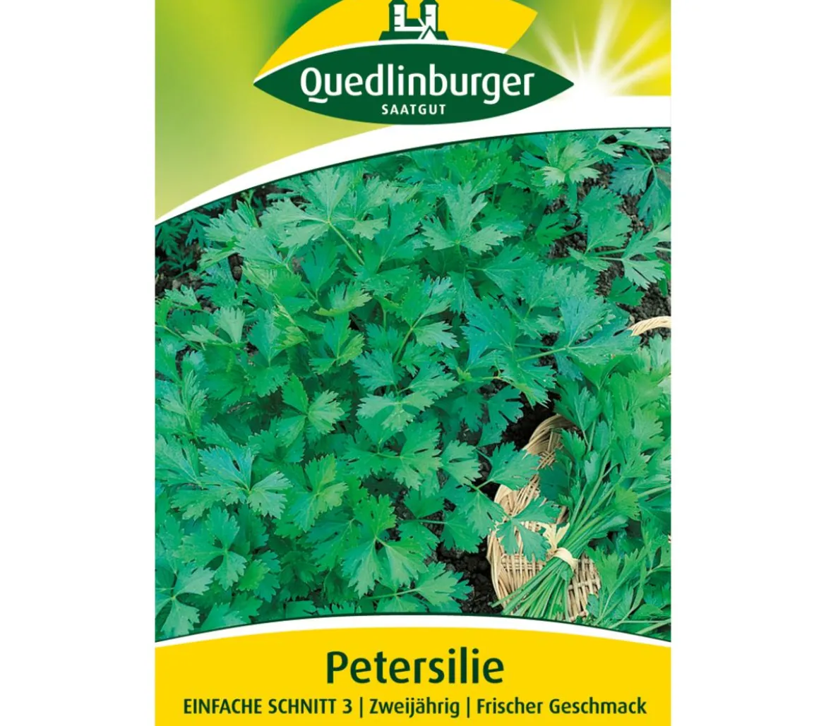 Quedlinburger Samen Petersilie 'Einfache Schnitt 3'
