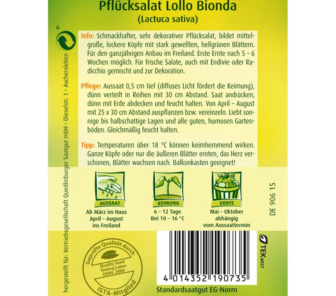 Quedlinburger Samen Plücksalat 'Lollo Bionda'