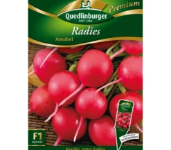 Quedlinburger Samen Radies 'Annabel'