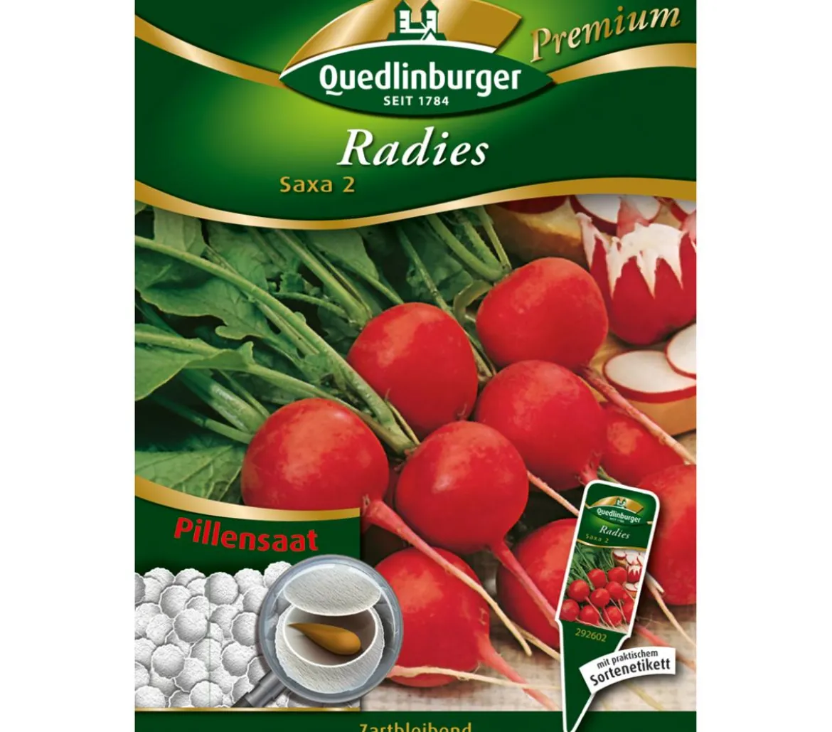 Quedlinburger Samen Radies 'Saxa 2'