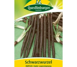 Quedlinburger Samen Schwarzwurzel 'Duplex'