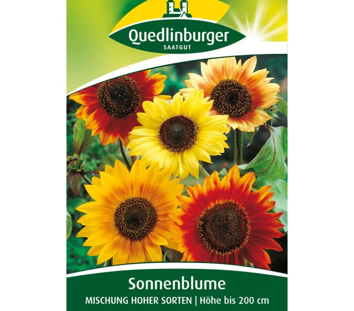 Quedlinburger Samen Sonnenblumen 'Mischung hoher Sorten'