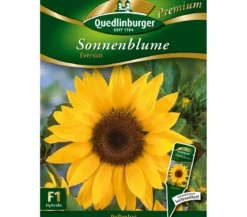 Quedlinburger Samen Sonnenblume 'Eversun'