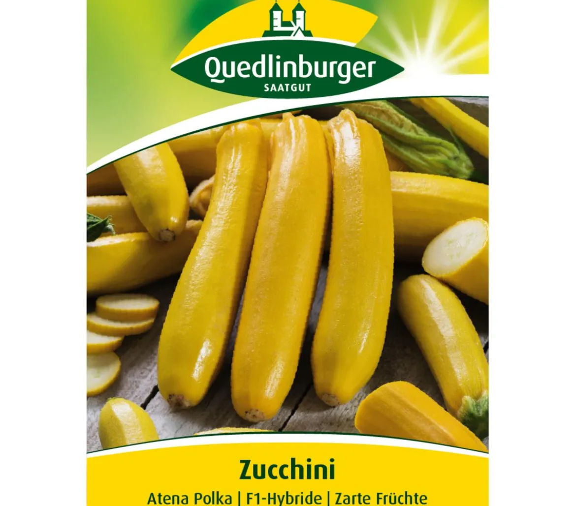 Quedlinburger Samen Zucchini 'Atena Polka'